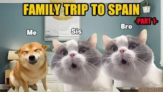 Thumbnail: CAT MEMES FAMILY TRIP TO SPAIN PART 1