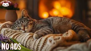 Thumbnail: Calm Your Anxious Cat Instantly 🐈 Soothing Music for Relaxation, Separation Anxiety & Vet Visits