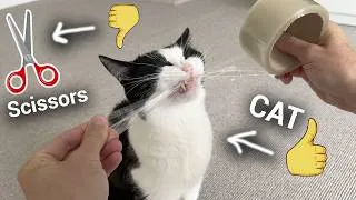 Thumbnail: The Best Cutter Of The Tape In The World