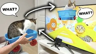 Thumbnail: The Cats Ride A Roller Coaster