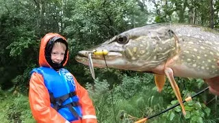Thumbnail: Northern Pike Fishing Catch Clean & Cook in Alaska - these Pike are full of LEECHES!!!