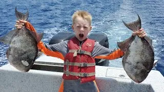 Thumbnail: Catch Clean & Cook Trigger Fish, Tuna, Mahi mahi, Shark, Snapper and more.