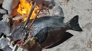 Thumbnail: Fishing Catch & Cook on Remote Island Beach - Fishing with a spear! (I almost died)