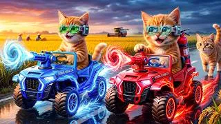 Thumbnail: Mama Cat Trims Fur on the Farm and Caring for Kittens at Home 🐯#ai #aicatstory#Catlovers