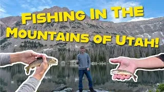 Thumbnail: Backpacking in the Uinta Mountains!