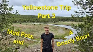 Thumbnail: Yellowstone Grizzly Bear and Fishing!