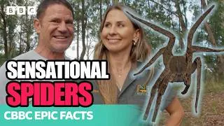 Thumbnail: Ultimate DEADLY SPIDER Moments! 🕷️ | Deadly 60 | CBBC Epic Facts