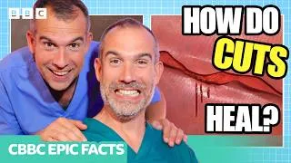 Thumbnail: How does a CUT HEAL?🩸🩹 | Operation Ouch | CBBC Epic Facts