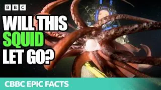 Thumbnail: I got BITTEN by a Real Sea Monster!🦑 | Deadly 60 | CBBC Epic Facts