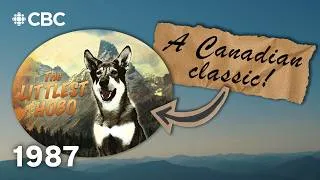 Thumbnail: Who else remembers the Canadian classic TV show 'The Littlest Hobo'?