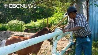 Thumbnail: Why this hobby farm is concerned about a proposed housing project