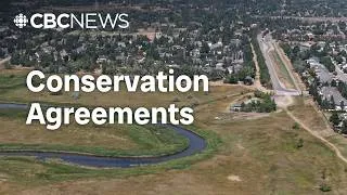 Thumbnail: What power do conservation easements have to protect natural spaces in Sask.?