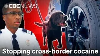 Thumbnail: Cross-border cocaine: How it’s detected and why it’s such a problem