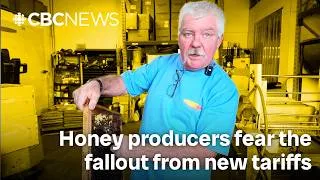 Thumbnail: Essex-area honey producers fear impact of new U.S. tariffs — even if they don't export their product