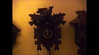 Thumbnail: Baby Schneider Cuckoo