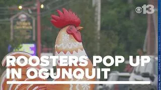 Thumbnail: Ogunquit residents set up tin roosters around town to support family