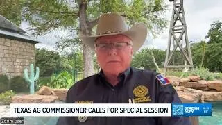Thumbnail: Texas agriculture commissioner renews push for data center regulations