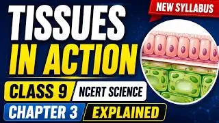 Thumbnail: Tissues in Action | Class 9 NCERT Science | Chapter 3 Explained (New Syllabus)