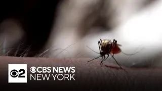 Thumbnail: West Nile virus cases reported in more than 20 states, CDC says