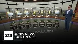 Thumbnail: Saturday evening weather forecast - July 11, 2026