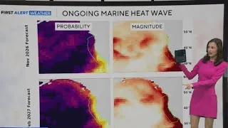 Thumbnail: Marine heat wave making California coastal waters warmer than usual