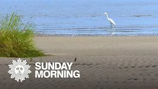 Thumbnail: Nature: Cape May National Wildlife Refuge