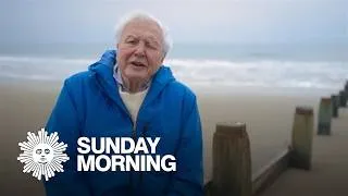 Thumbnail: Milepost: David Attenborough