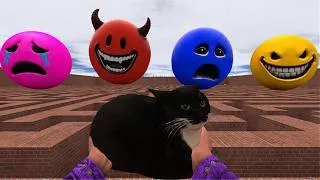 Thumbnail: (GMOD) Find maxwell cat with the verity