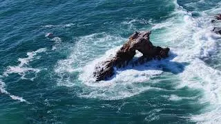 Thumbnail: California Coast: Landscapes & Wildlife