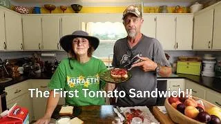 Thumbnail: He Had to Cobble It Together, But Matt Had His First Tomato Sandwich of the Summer 😀