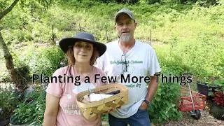 Thumbnail: The Last Plantings for this Summer