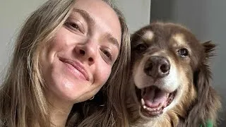 Thumbnail: Amanda Seyfried Heartbroken After Losing Her Beloved Dog Finn |
