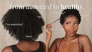Thumbnail: how I went from damaged to healthy hair *detailed* | to big chop or not to big chop?