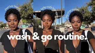 Thumbnail: my first wash & go post-big chop + short hair nighttime routine + I dyed my hair! (type 4)