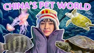 Thumbnail: I Explored China's Pet World 🇨🇳🐶 (Pet Stores, Expo, Aquarium, & More!)