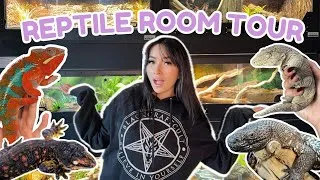 Thumbnail: INSIDE MY DREAM REPTILE ROOM l MEET MY REPTILES