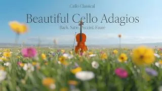 Thumbnail: 33 Most Beautiful Cello Classics You’ll Love Listening To | Bach, Satie, Schubert & Puccini