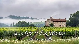 Thumbnail: Unwinding Cello Music for Deep Sleep | Slow Solo Cello & Piano
