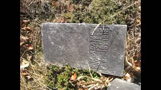 Thumbnail: Marshall G aka G.M. Adams: Snapshot Into His Life in Franklin County, Georgia