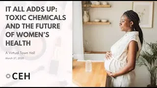 Thumbnail: It All Adds Up: Toxic Chemicals and the Future of Women’s Health