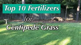 Thumbnail: TOP 10 Fertilizers for Centipede Grass!!
