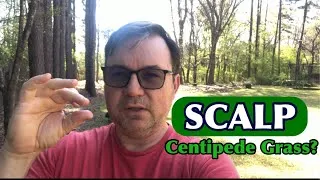 Thumbnail: Should you SCALP Centipede Grass?