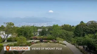 Thumbnail: Travel Experience in Tokyo - Mt.Fuji - Nagoya
