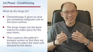Thumbnail: What is an Allogeneic Stem Cell Transplant?