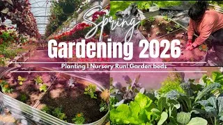 Thumbnail: *NEW* Spring Garden 2026 | Setting up garden beds | Nursery Run |Planting 