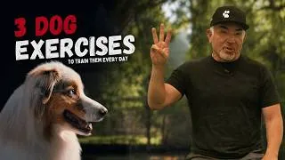 Thumbnail: 3 Dog Training Exercises You Should Do Every Day | Cesar Unleashed