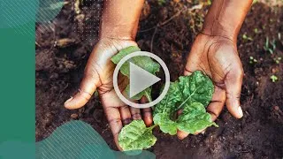 Thumbnail: A sustainable future rooted in healthy soil