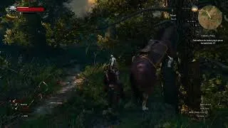 Thumbnail: roach beatin off in the witcher 3