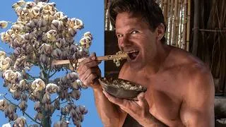 Thumbnail: Scrambled Quail Eggs and Yucca Flowers Made Primitively at the Hut