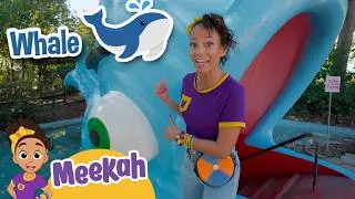 Thumbnail: Meekah's 5 Senses Adventure at Children’s Fairyland! | Educational Videos for Toddlers